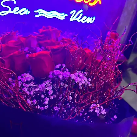 Thomas Sea View Apartment