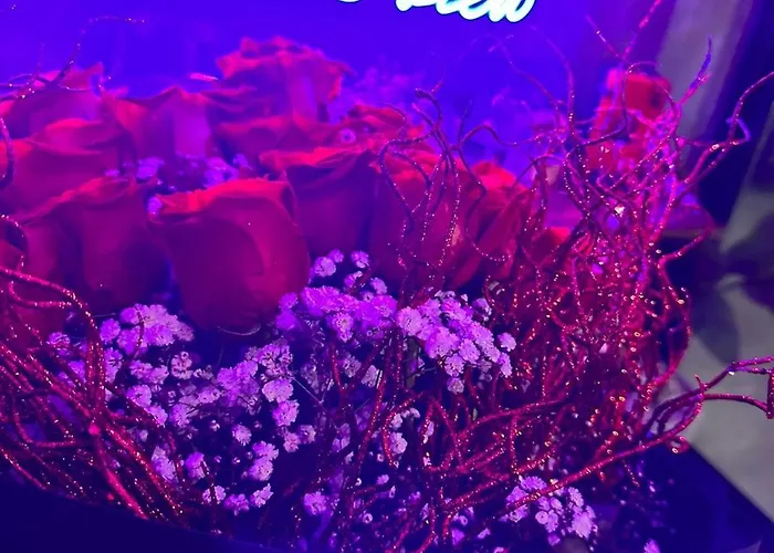 Thomas Sea View Daire